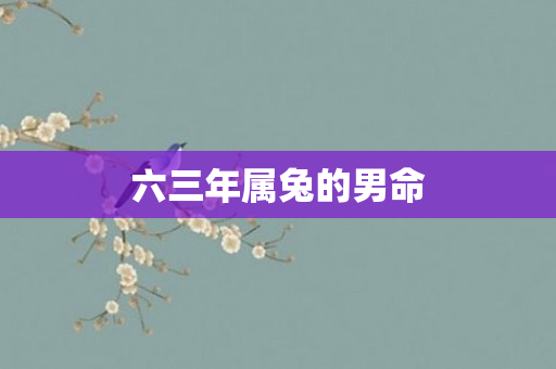 六三年属兔的男命