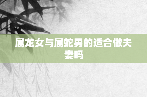 属龙女与属蛇男的适合做夫妻吗