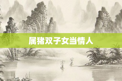 属猪双子女当情人