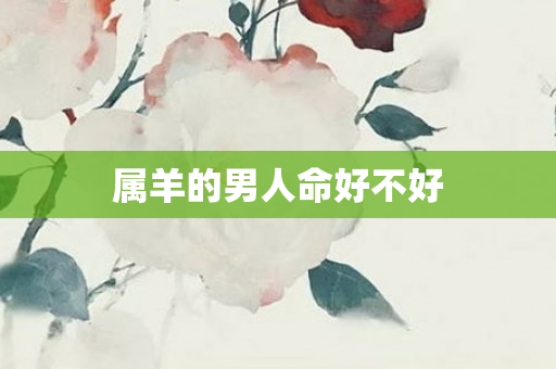 属羊的男人命好不好