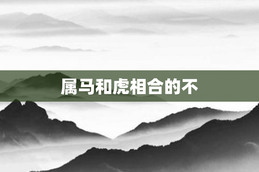 属马和虎相合的不