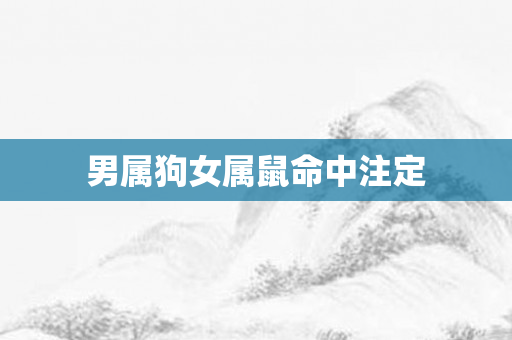 男属狗女属鼠命中注定