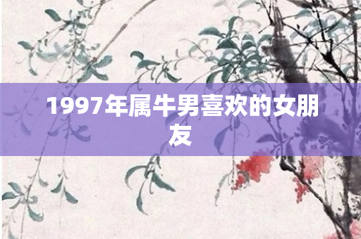 1997年属牛男喜欢的女朋友