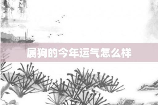 属狗的今年运气怎么样