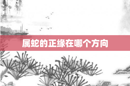 属蛇的正缘在哪个方向