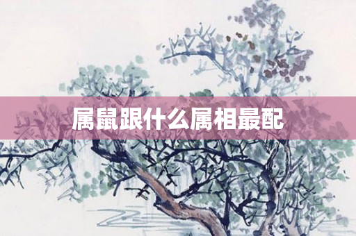 属鼠跟什么属相最配