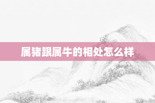 属猪跟属牛的相处怎么样