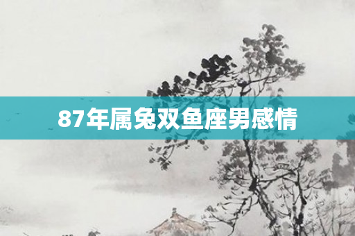 87年属兔双鱼座男感情