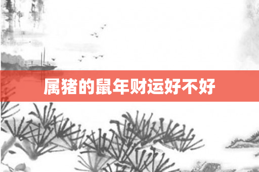 属猪的鼠年财运好不好