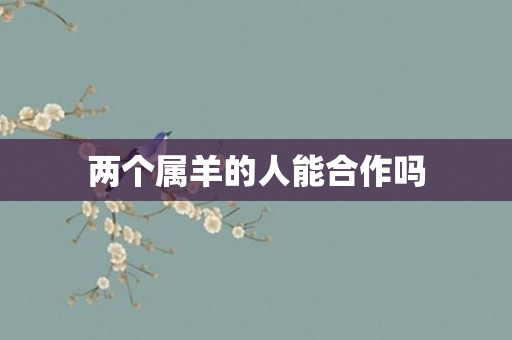两个属羊的人能合作吗