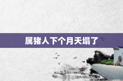 属猪人下个月天塌了