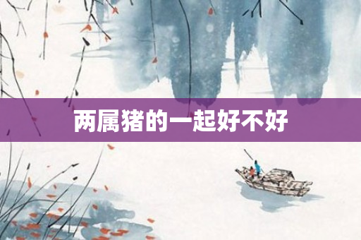 两属猪的一起好不好
