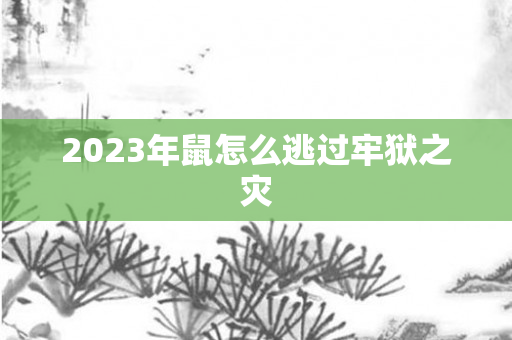 2023年鼠怎么逃过牢狱之灾