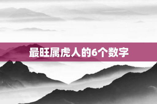 最旺属虎人的6个数字