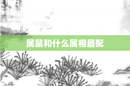 属鼠和什么属相最配