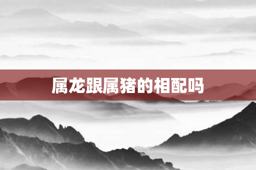 属龙跟属猪的相配吗