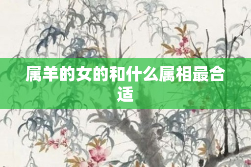 属羊的女的和什么属相最合适