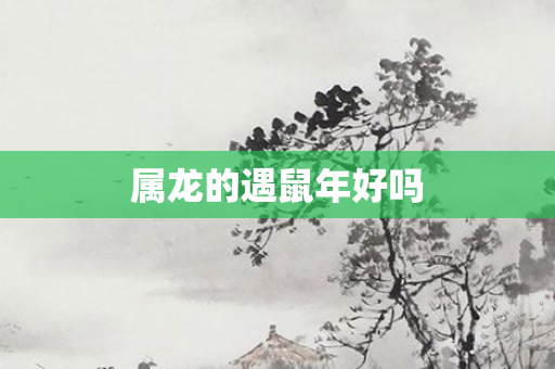 属龙的遇鼠年好吗