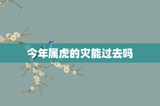 今年属虎的灾能过去吗