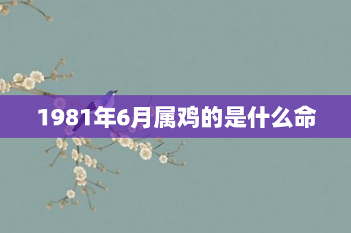 1981年6月属鸡的是什么命