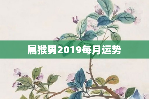 属猴男2019每月运势