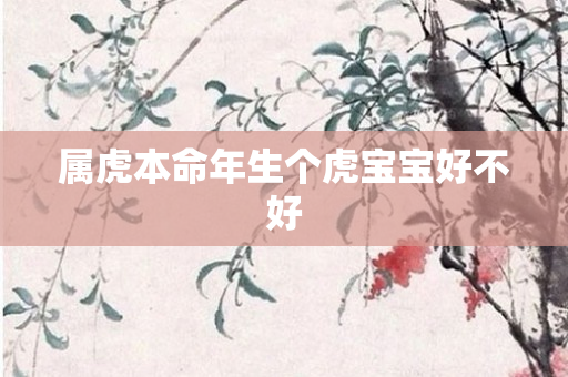 属虎本命年生个虎宝宝好不好