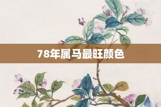 78年属马最旺颜色