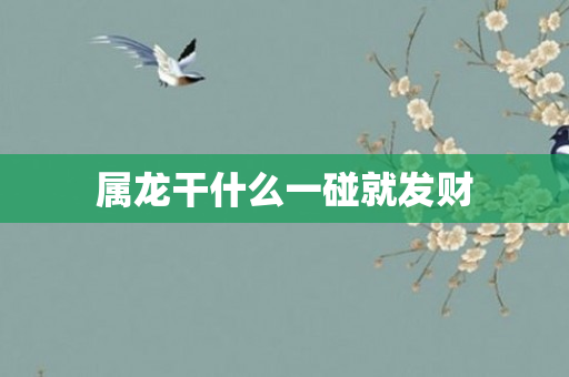 属龙干什么一碰就发财