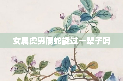 女属虎男属蛇能过一辈子吗