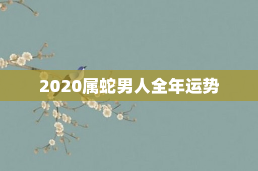 2020属蛇男人全年运势