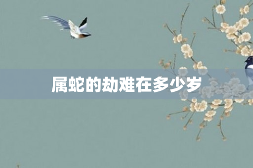 属蛇的劫难在多少岁