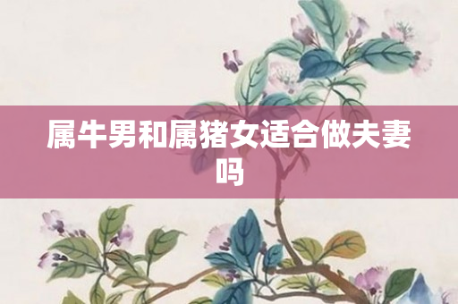 属牛男和属猪女适合做夫妻吗