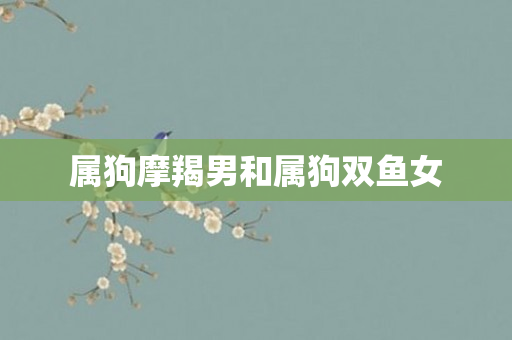 属狗摩羯男和属狗双鱼女