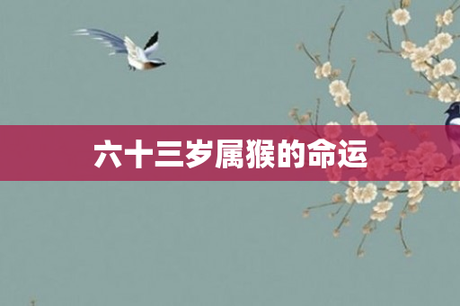 六十三岁属猴的命运