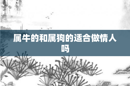属牛的和属狗的适合做情人吗