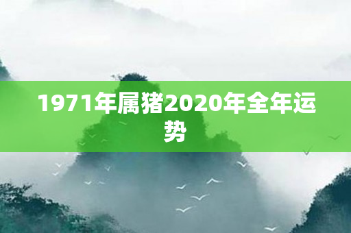 1971年属猪2020年全年运势