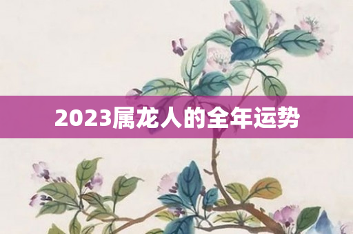 2023属龙人的全年运势