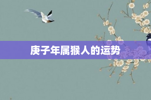 庚子年属猴人的运势