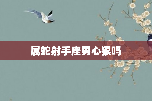 属蛇射手座男心狠吗