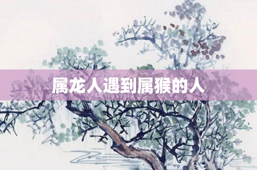 属龙人遇到属猴的人