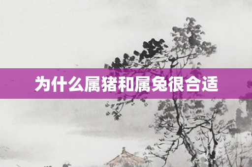 为什么属猪和属兔很合适