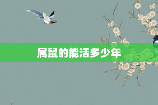 属鼠的能活多少年