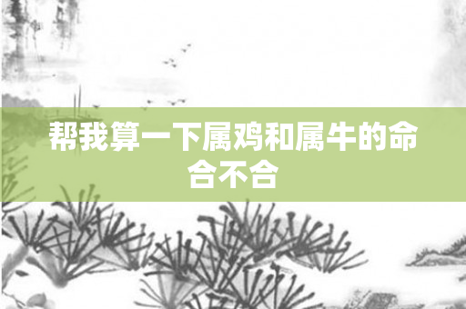 帮我算一下属鸡和属牛的命合不合