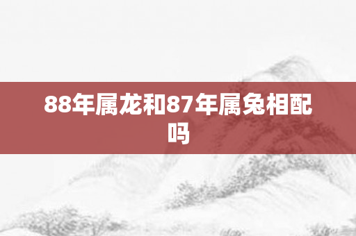 88年属龙和87年属兔相配吗