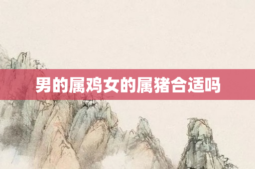 男的属鸡女的属猪合适吗