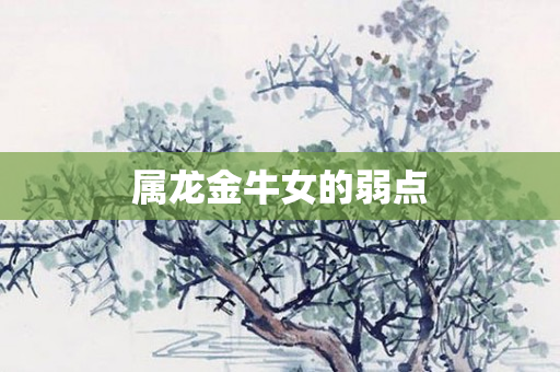 属龙金牛女的弱点