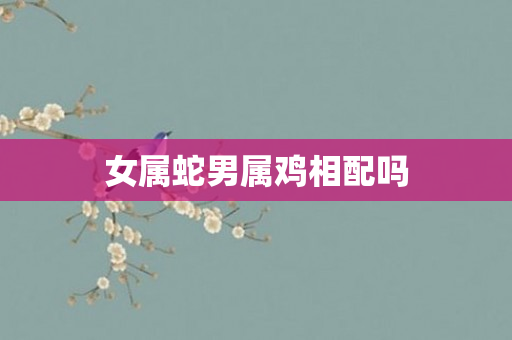 女属蛇男属鸡相配吗