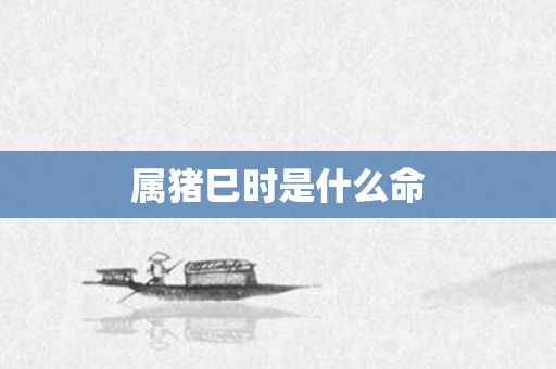属猪巳时是什么命