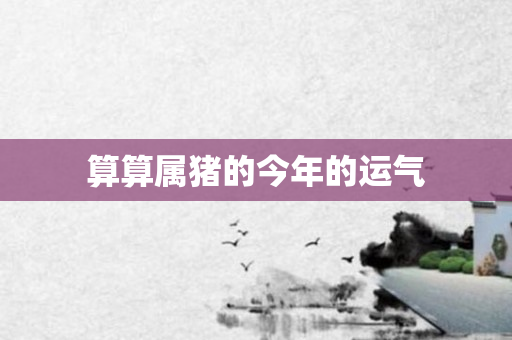 算算属猪的今年的运气