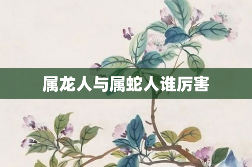 属龙人与属蛇人谁厉害